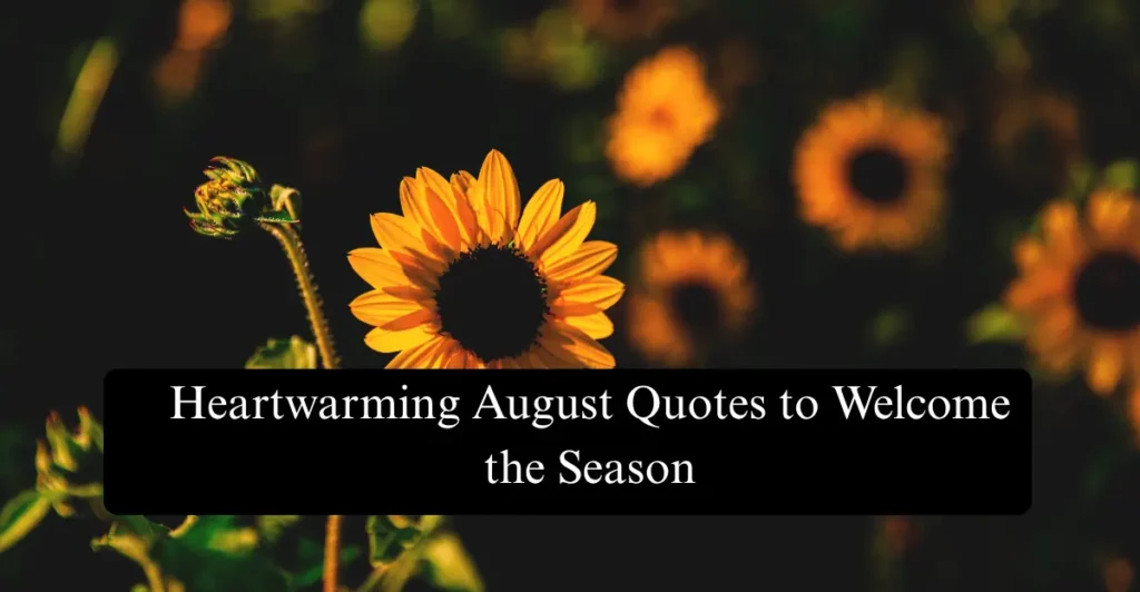 Heartwarming August Quotes to  Welcome the Season