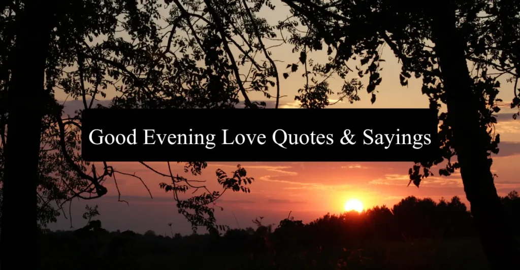 Good Evening Love Quotes & Sayings