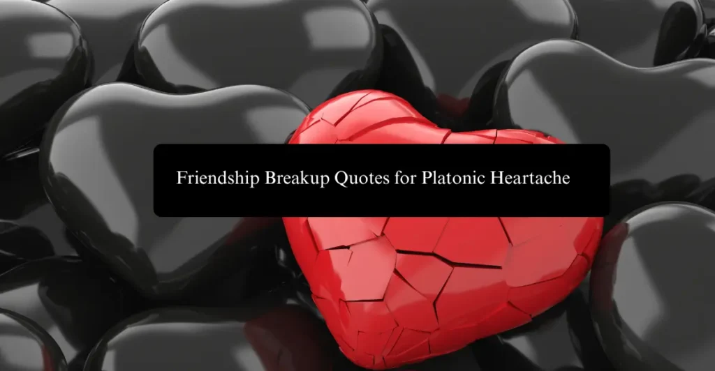 Friendship Breakup Quotes for Platonic Heartache