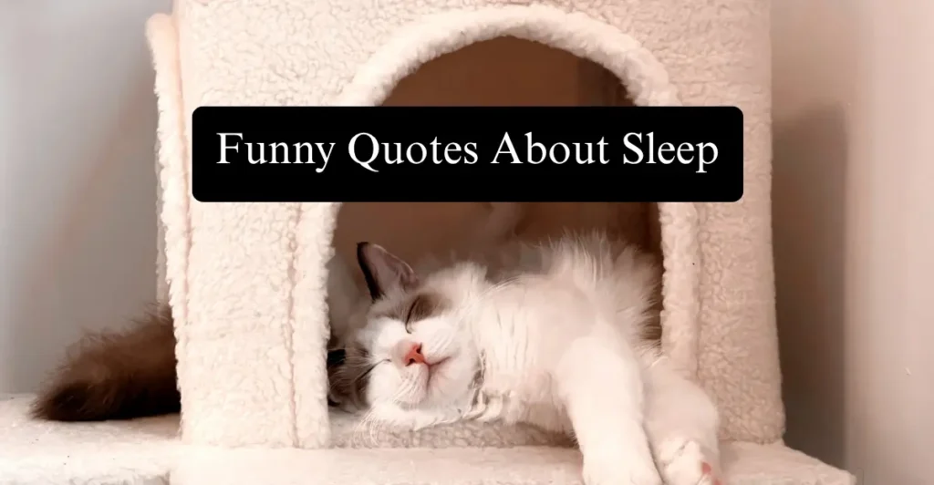 Funny Quotes About Sleep