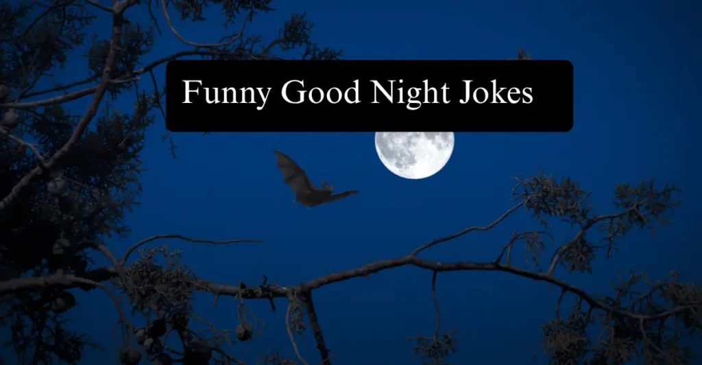 Funny Good Night Jokes