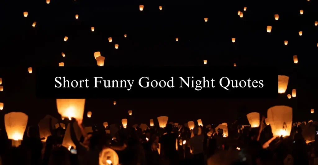 Short Funny Good Night Quotes